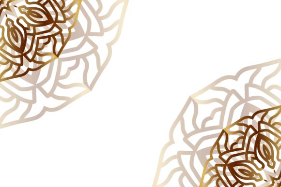Ornamental Mandala Retro Background Review